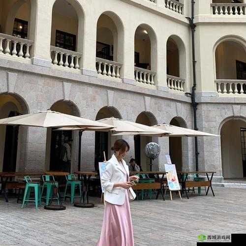 关于 frfree 中国明星性 COM 的相关探讨及分析