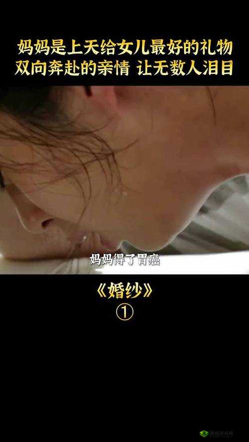 伦理亲情:探索国产亲子关系的奥秘