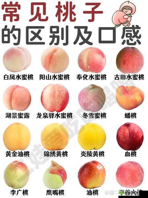 国产水蜜桃：甜蜜多汁口感鲜美带来夏日清凉享受
