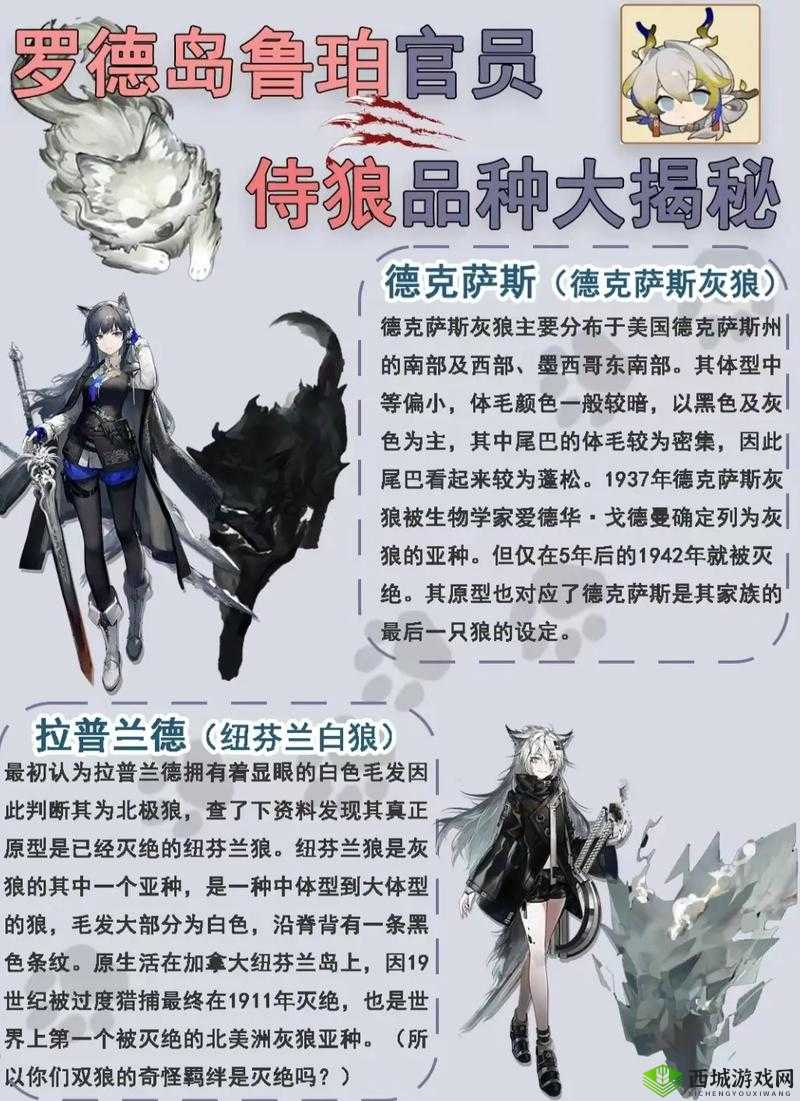 明日方舟新干员绮良介绍，资源管理的新篇章