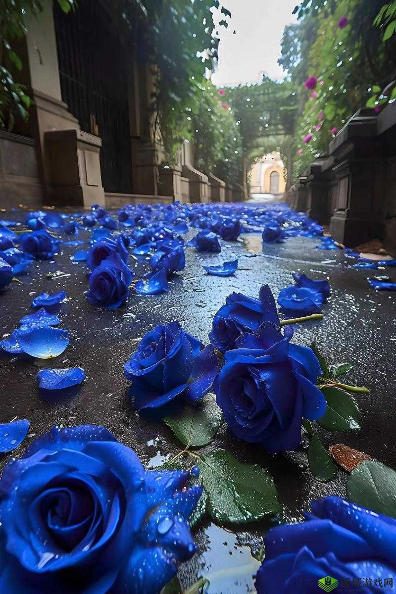 野花视频在线观看完整版最新 6 :精彩内容不容错过