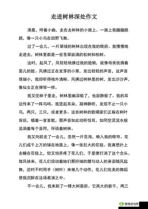 探秘自然与生活的和谐——以小森生活为例