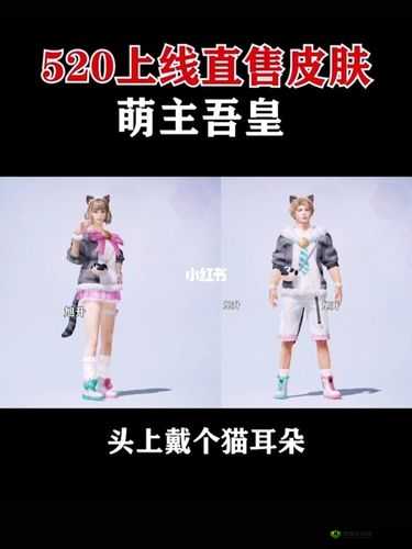 和平精英背包皮肤萌主吾皇介绍，资源管理的艺术