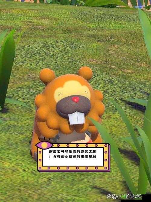 宝可梦大探险,探索与召唤的奇妙之旅