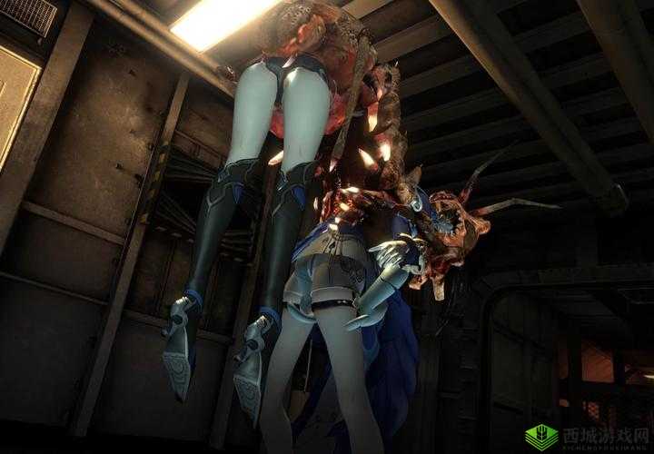 打牌生猴子的视频大全外国:海外趣味纸牌游戏,带你领略异国风情