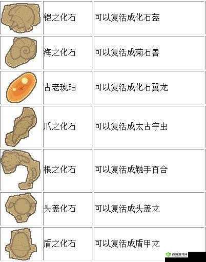 宝可梦大探险，揭秘吸引化石盔的神奇食谱配方