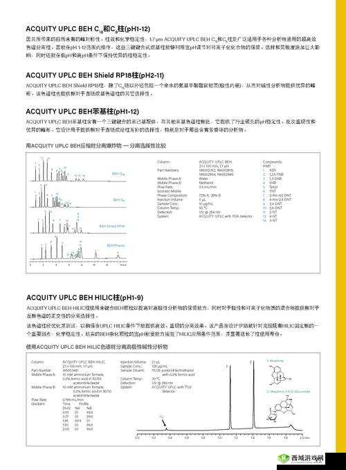 探索waters 色谱柱 c18 的奥秘：分离科学的卓越之选