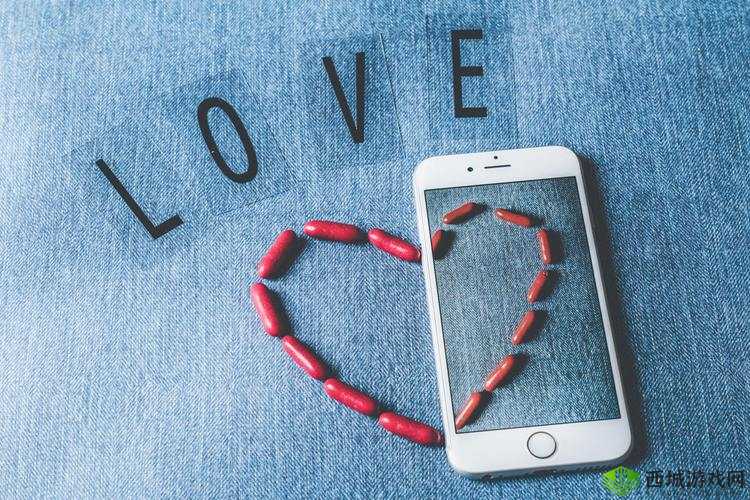 女性角色去掉小内皮肤的软件：隐私保护与个人自由的平衡点