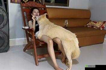 欧美牲交的 A 面与 B 面：探索异国性爱文化