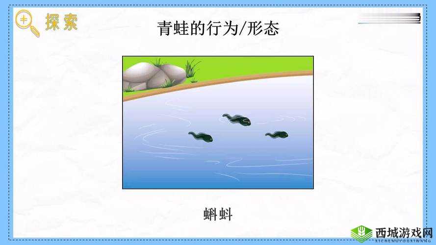 窝蝌蚪是一个释放蝌蚪的地方但它还有着更多的意义和价值
