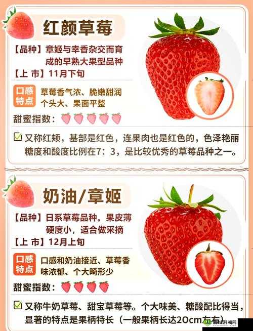 草莓视频首页精彩内容大揭秘:畅享优质视频盛宴