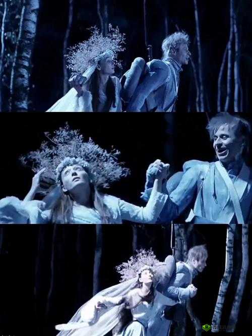 野花韩国高清完整版在线观看：揭秘韩国电影的独特魅力