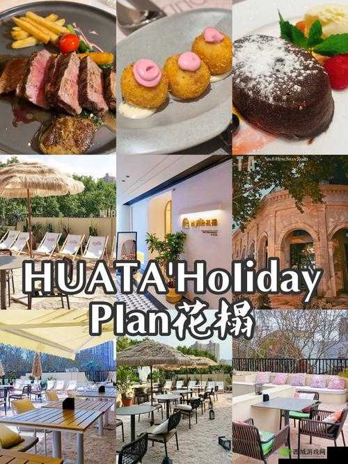 野花日本韩国视频免费高清观看:邂逅异国风情的视觉盛宴