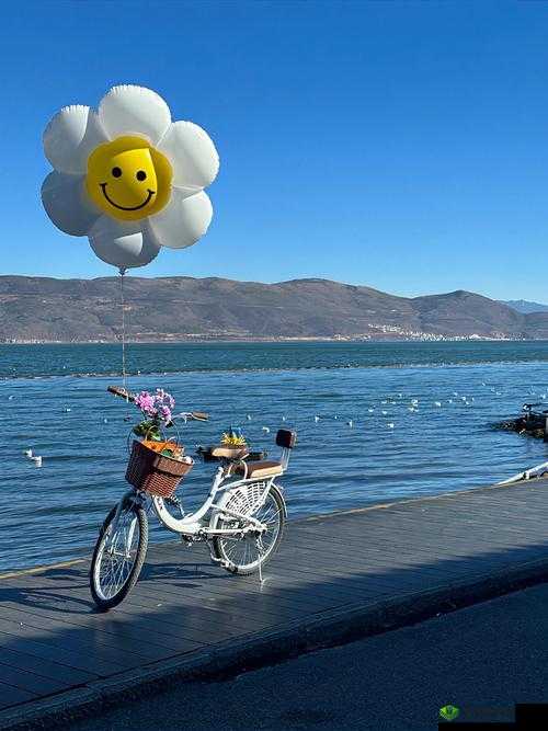 春日绮梦，探索关键词背后的温柔世界