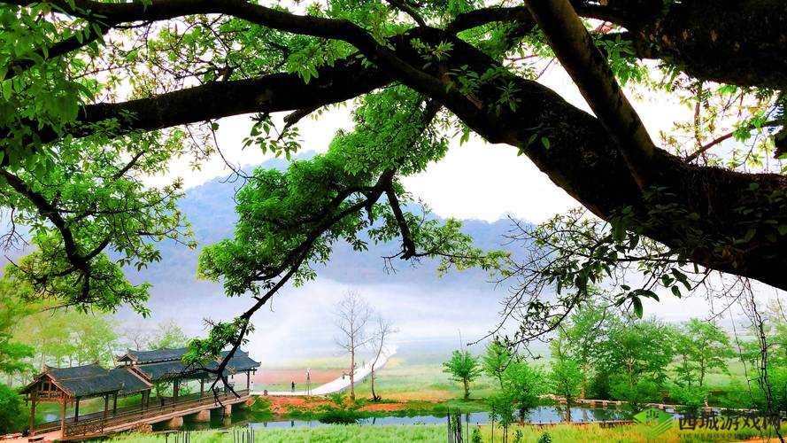 三七大但人文艺术免费视频：畅享艺术之美无界限