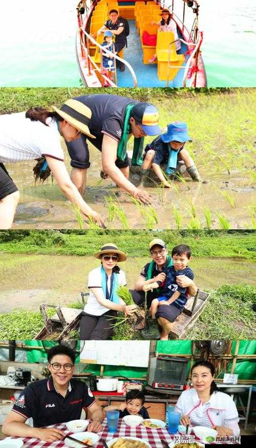 夫妻间独特的 108 种插秧法：探索亲密关系新维度