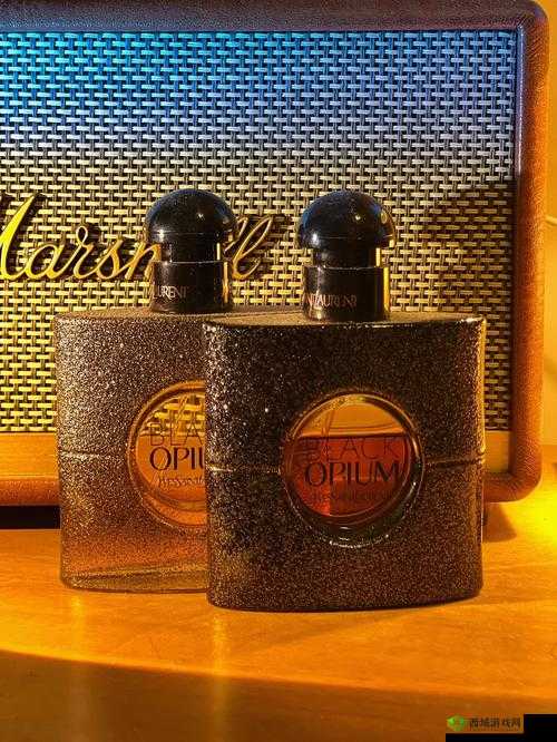 Ysl 千人千色 Ae86v10 让你的美丽独一无二