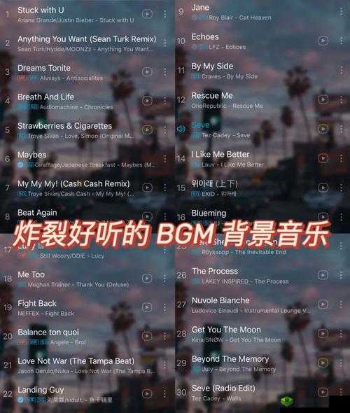 震撼心灵的音乐之旅:BGMBGMBGM 荷兰 HD 带你领略音乐的无限魅力