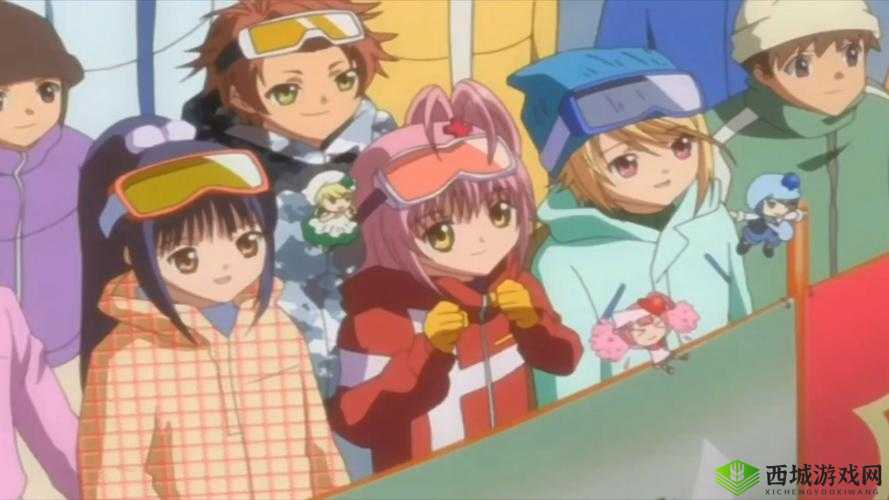 草帽团的传奇，梦想、友情与冒险的交织篇章