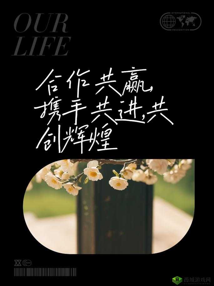 双胞胎姐妹齐上阵的合作:携手共进创造辉煌未来