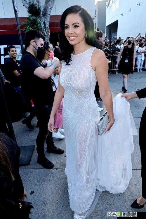 欧美精品 18videose×性欧美：探索成人领域的精彩世界