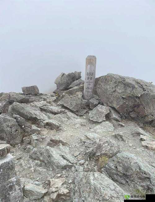 以大粗鳮吧征服岳:揭秘背后的真相