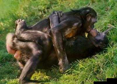 激情无限:爱爱直播带你畅享视觉盛宴