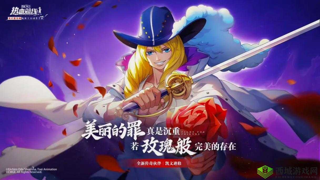 航海王的热血航线，探索与伙伴的无限可能