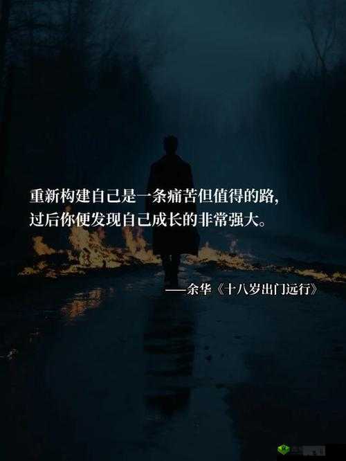 最后一排的陌生人：一段未知的长途旅程