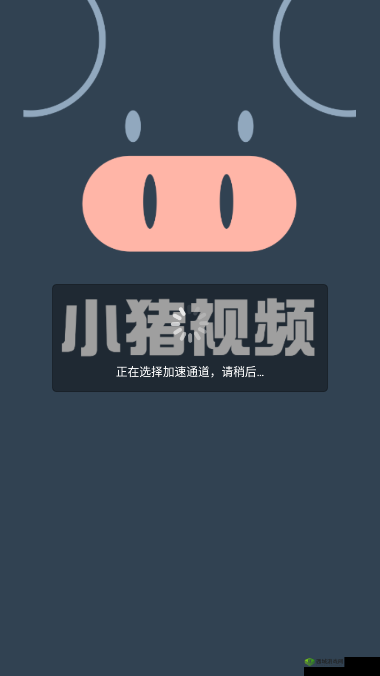 小猪视频 app 下载:带你领略精彩无限的视频世界