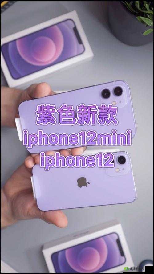 紫色浪漫新纪元，iPhone12外观深度赏析