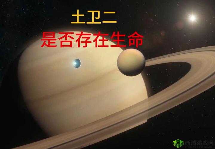 春动莲房,揭开生命的神秘面纱