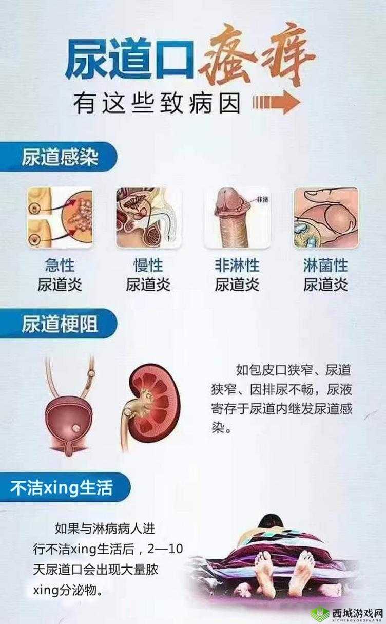 尿道口两边的肉肿了的原因探究及相关注意事项