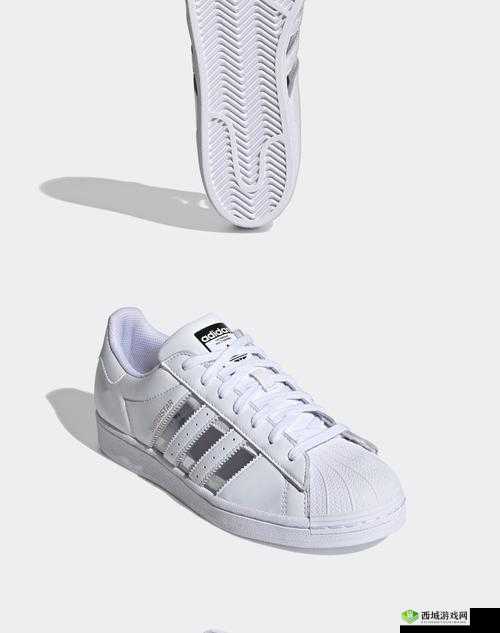 三叶草 FY7717:一款极具特色与魅力的产品介绍