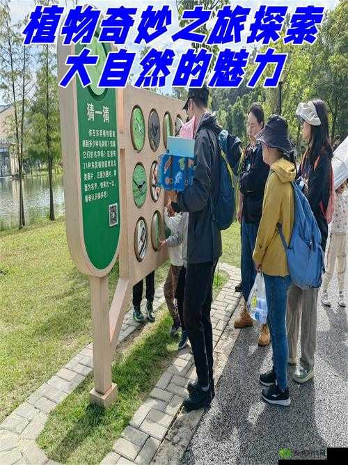 一起草 17c 国卢:探索神秘国度的奇妙之旅