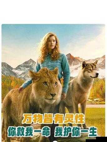 当人与兽相遇:超越物种的情感与联系