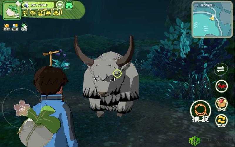 小森生活探秘，白牦牛王的神秘踪迹