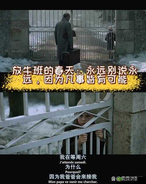 找一个叫坤的电影:探寻其独特魅力与故事内涵