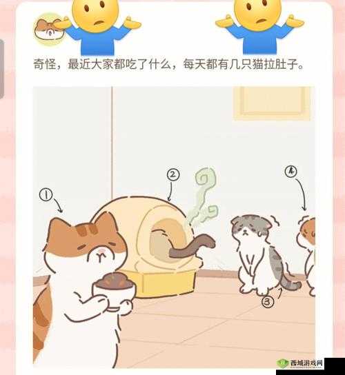 小森生活里的喵趣横生，解锁猫盖饭的美味秘籍
