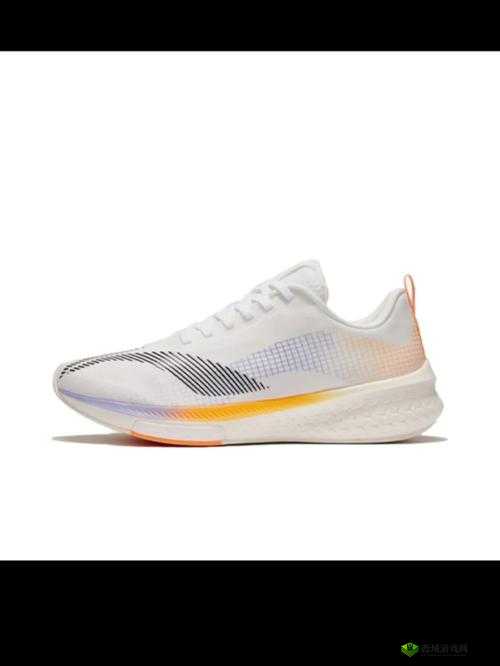 李宁天价鞋惹风波