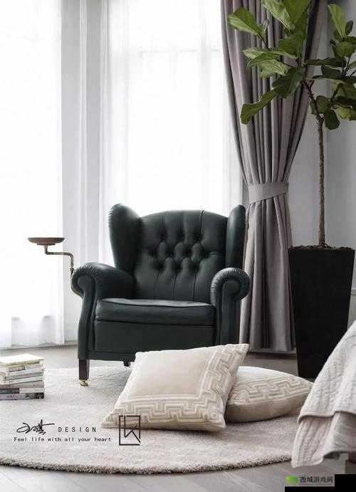 总裁穿内裤后顶:神秘且引人遐想的奇特场景