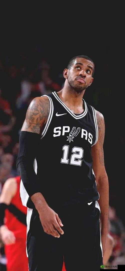 阿尔德里奇正式宣布退役，一段传奇的落幕