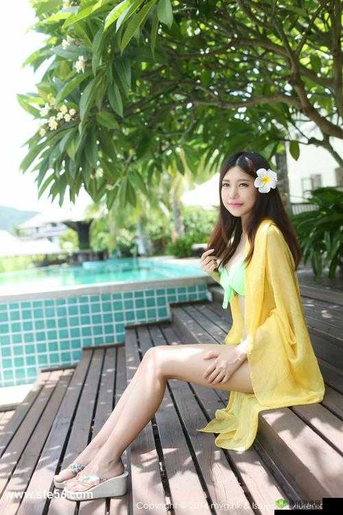 精品卡一卡二卡三免费:带来超多精彩内容体验