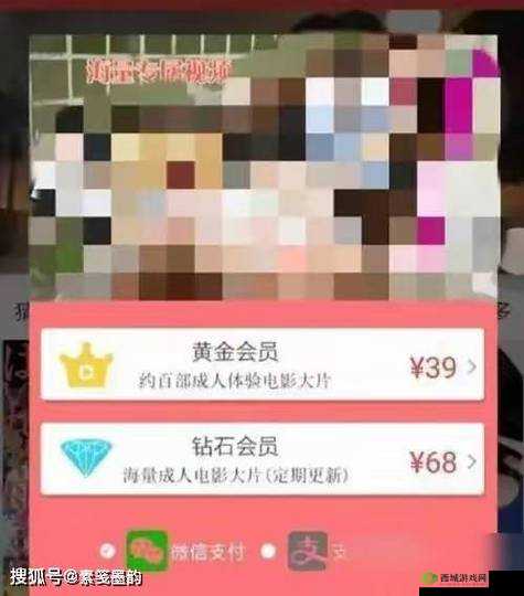 亚洲黄色无码,你所不知道的秘密:深入揭秘亚洲黄色无码背后的故事