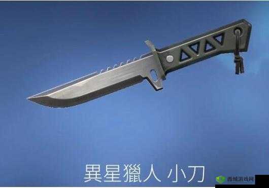 魔渊之刃猎人小刀，揭秘它的独特魅力与用途