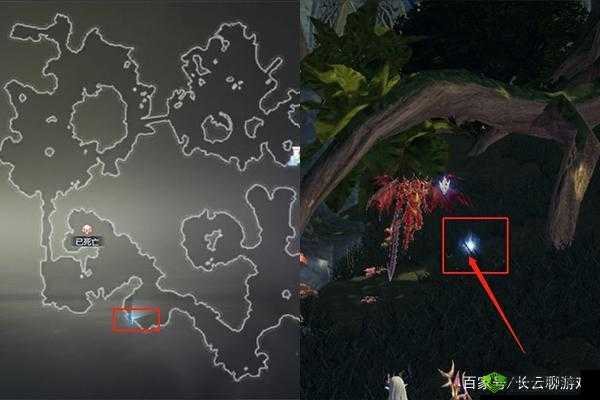 全民奇迹2，古树小径任务深度解析与攻略