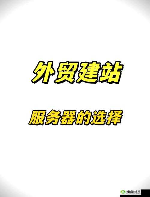 荷兰 VPSWINDOWS:提供优质稳定的虚拟专用服务器服务