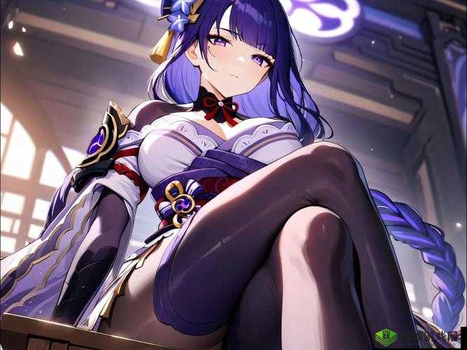 雷电将军乳液 VX 网站入口:探索游戏角色的魅力与幻想