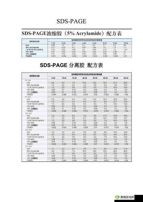 人马胶配方大全高清详细解读及多种实用配方呈现