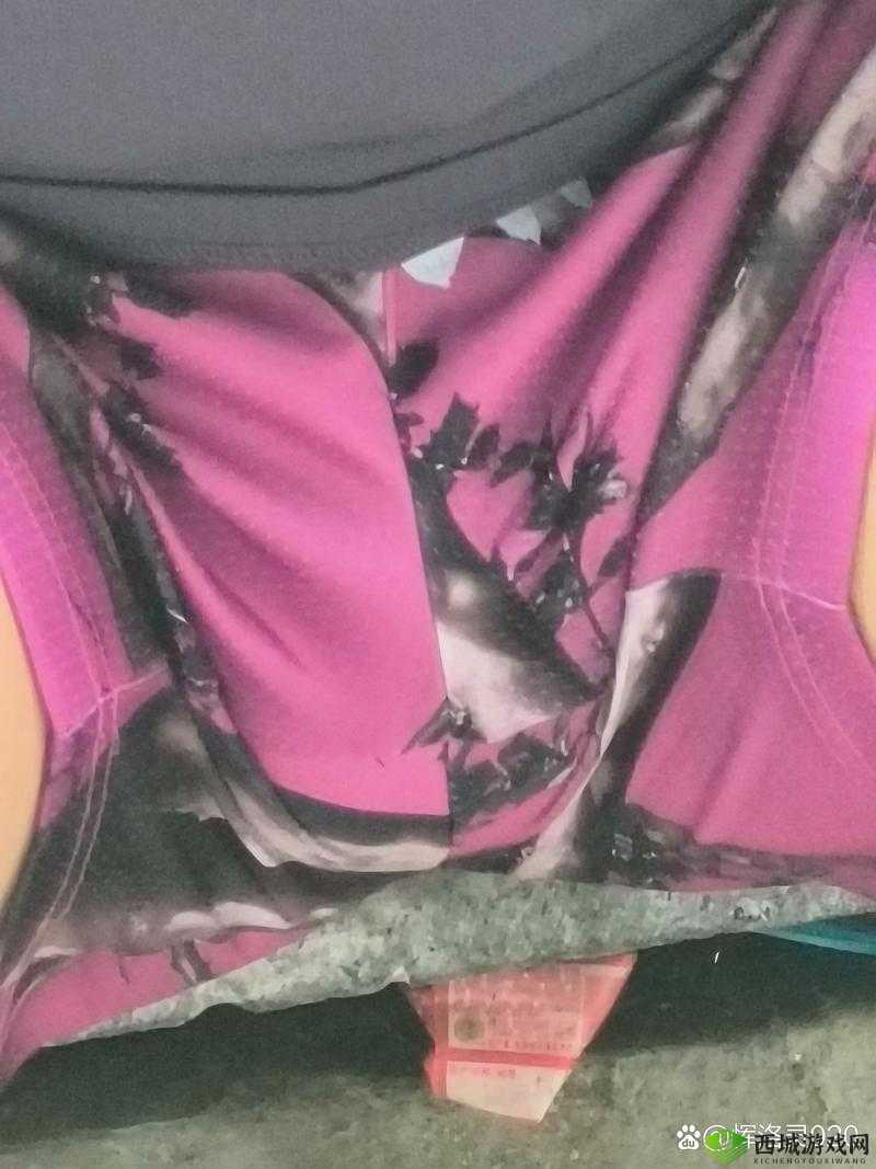 国产中国男男 GayGay 激情视频：探索同志之间的情感世界